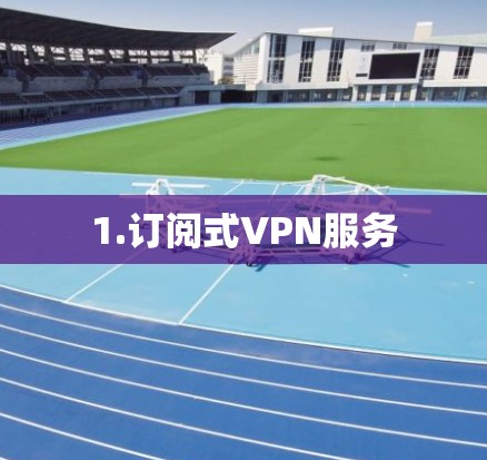 1.订阅式VPN服务
