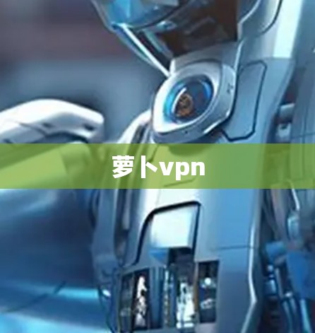 萝卜vpn