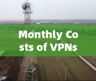 Monthly Costs of VPNs: