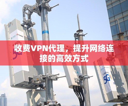 收费VPN代理，提升网络连接的高效方式