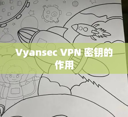 Vyansec VPN 密钥的作用