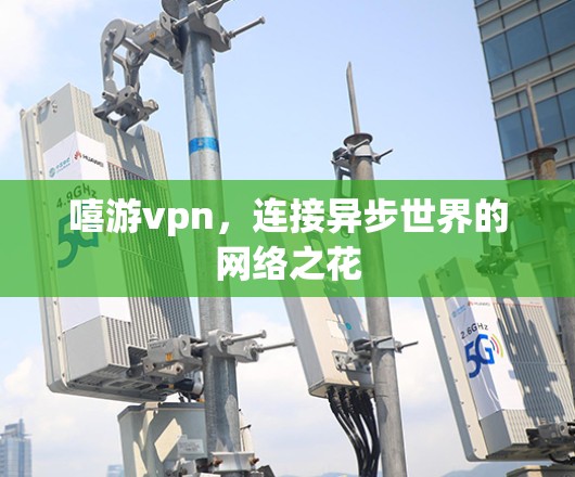 嘻游vpn，连接异步世界的网络之花