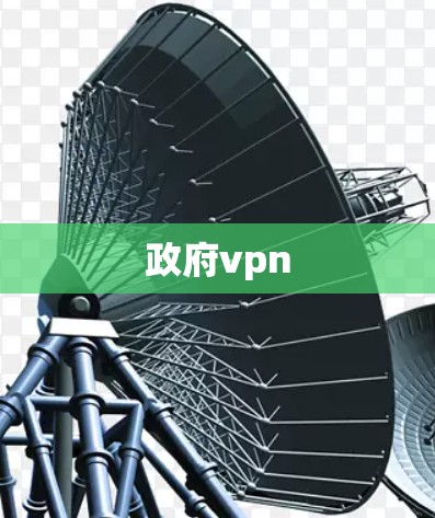 政府vpn