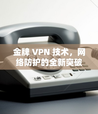 金牌 VPN 技术，网络防护的全新突破