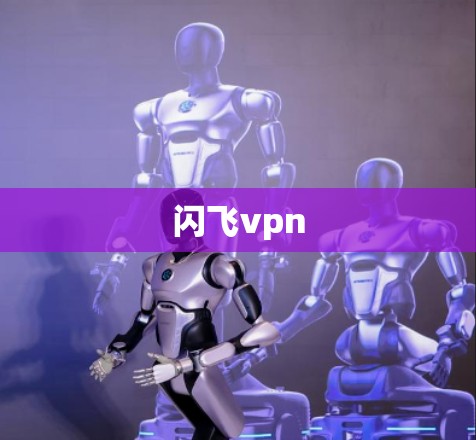 闪飞vpn 闪飞vpn