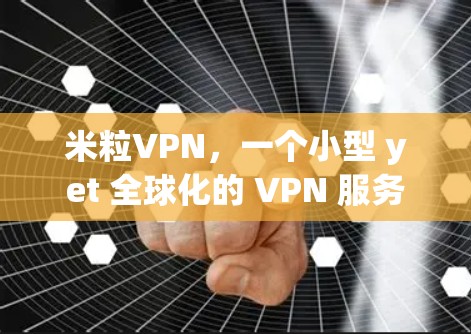 米粒VPN,一个小型 yet 全球化的 VPN 服务 米粒VPN,一个小型 yet 全球化的 VPN 服务