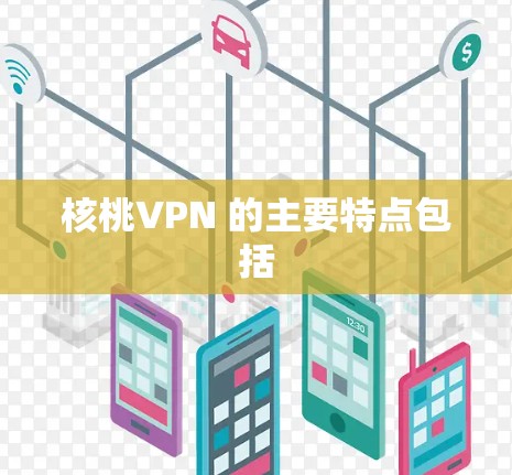 核桃VPN 的主要特点包括