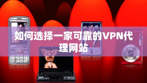 如何选择一家可靠的VPN代理网站
