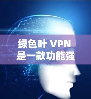 绿色叶 VPN 是一款功能强大的VPN服务,提供多种套餐类型,适合个人用户和企业用户。以下是使用绿色叶 VPN 的步骤 绿色叶 VPN 是一款功能强大的VPN服务,提供多种套餐类型,适合个人用户和企业用户。以下是使用绿色叶 VPN 的步骤