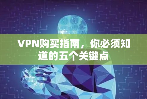 VPN购买指南，你必须知道的五个关键点