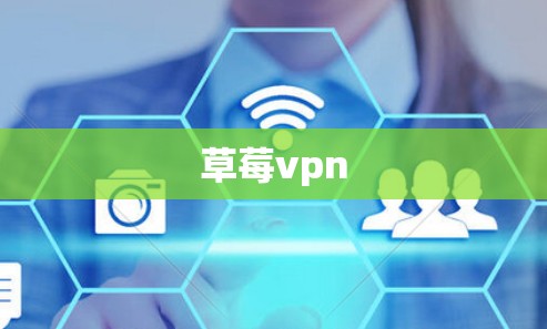 草莓vpn 草莓vpn