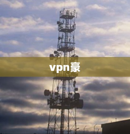 vpn豪