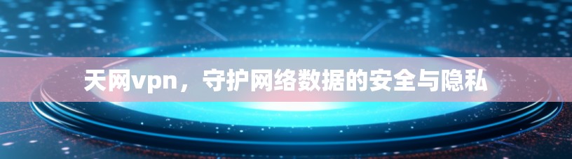 天网vpn，守护网络数据的安全与隐私