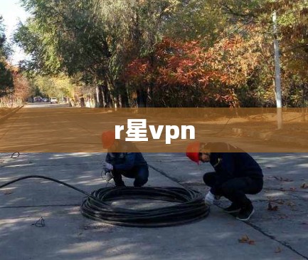 r星vpn