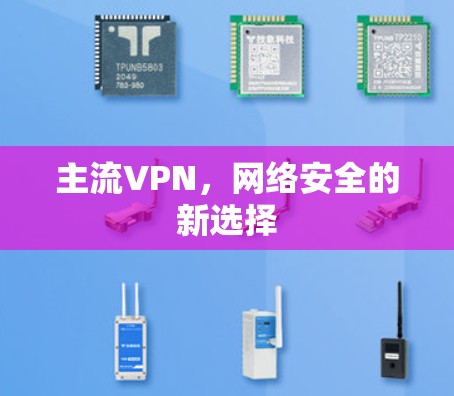 主流VPN，网络安全的新选择