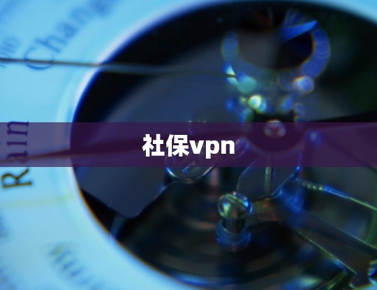 社保vpn