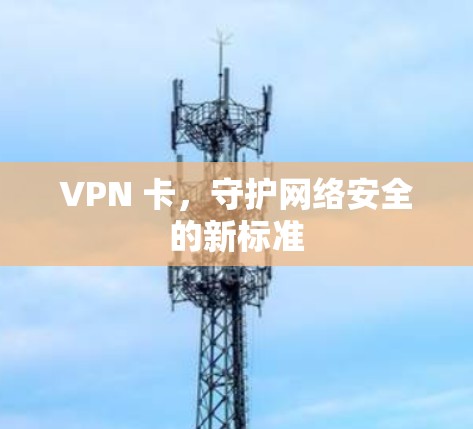 VPN 卡，守护网络安全的新标准