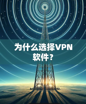 为什么选择VPN软件？