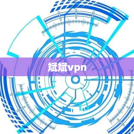 斌斌vpn
