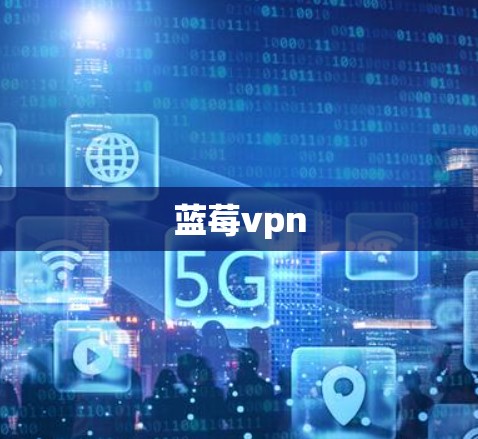 蓝莓vpn