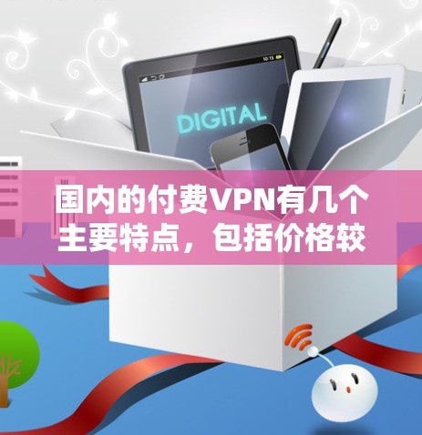 国内的付费VPN有几个主要特点，包括价格较高、安全性较低、设备兼容性可能较低、多语言支持有限、价格可能较高、多语言支持可能影响用户适应性、设备兼容性可能影响用户使用体验。以下是对这些特点的详细分析