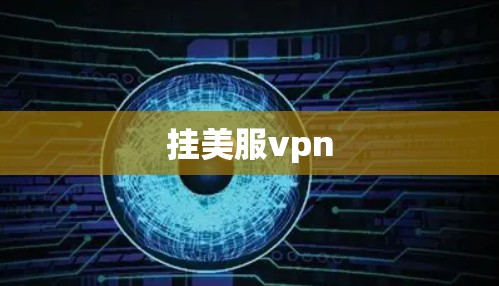 挂美服vpn