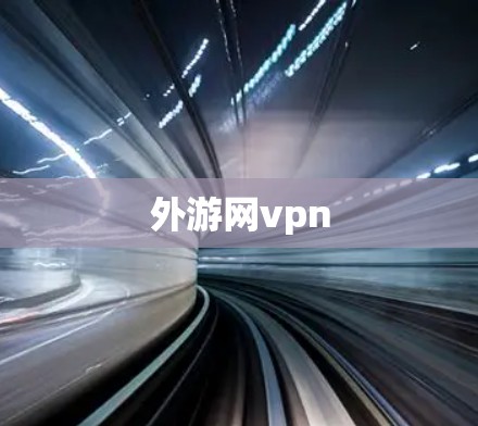 外游网vpn