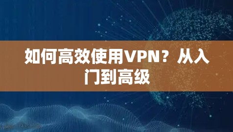 如何高效使用VPN？从入门到高级