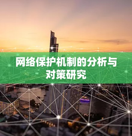 网络保护机制的分析与对策研究