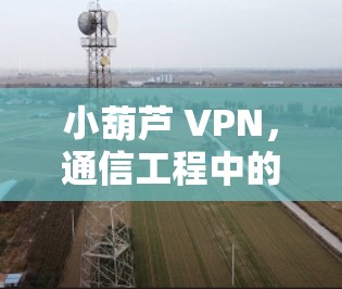 小葫芦 VPN，通信工程中的秘密之光