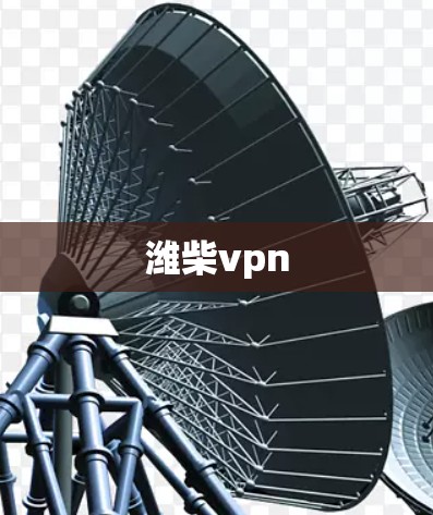 潍柴vpn