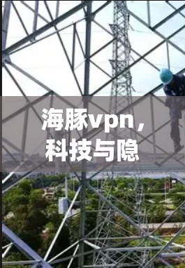 海豚vpn，科技与隐私的平衡之道—一个安全而便捷的网络新宠