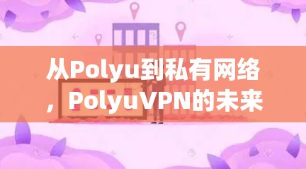 从Polyu到私有网络，PolyuVPN的未来展望