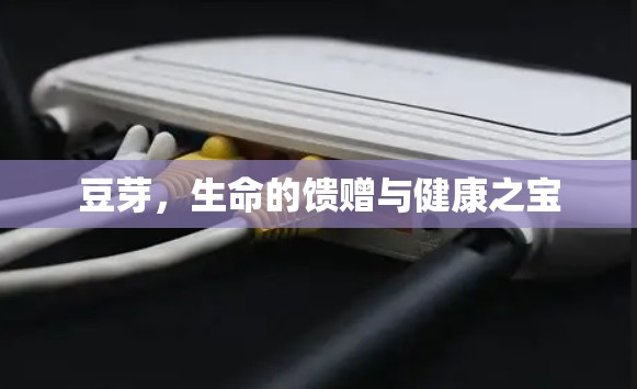 豆芽，生命的馈赠与健康之宝