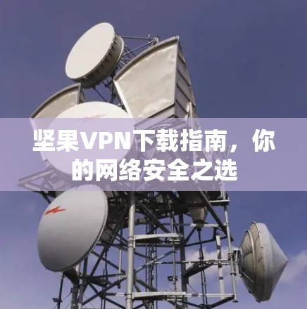 坚果VPN下载指南，你的网络安全之选