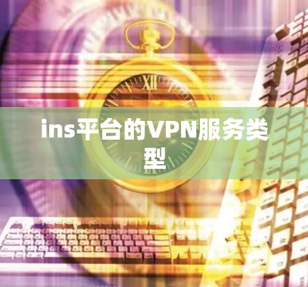 ins平台的VPN服务类型