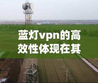 蓝灯vpn的高效性体现在其快速响应网络威胁的能力上。它能够自动检测潜在威胁，及时发出预警信号，用户无需手动操作，就能快速采取行动。这种高效的响应能力，极大减少了网络攻击的可能性