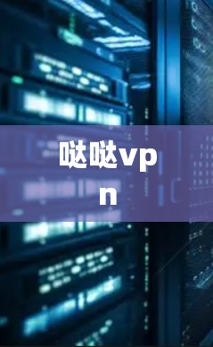 哒哒vpn