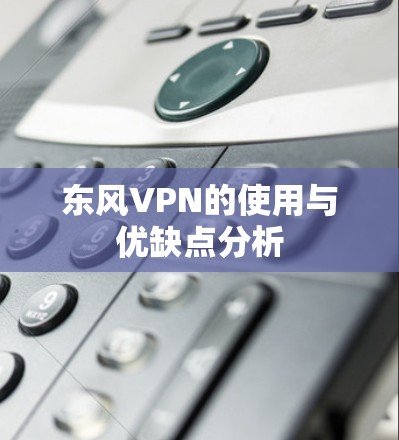 东风VPN的使用与优缺点分析