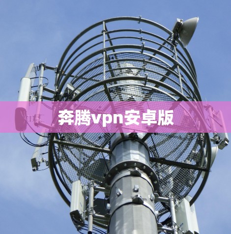奔腾vpn安卓版