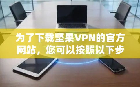 为了下载坚果VPN的官方网站，您可以按照以下步骤操作