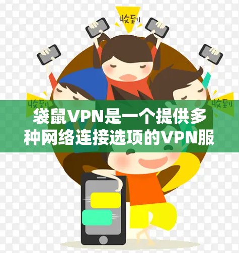 袋鼠VPN是一个提供多种网络连接选项的VPN服务，旨在满足用户在不同设备和网络环境下的需求。以下是对袋鼠VPN的详细分析