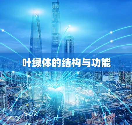 叶绿体的结构与功能