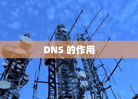 DNS 的作用