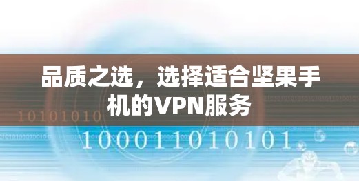 品质之选，选择适合坚果手机的VPN服务