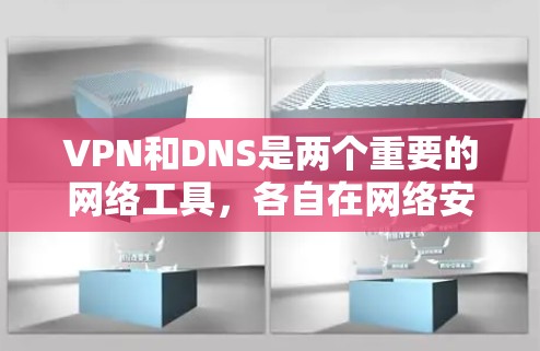 VPN和DNS是两个重要的网络工具，各自在网络安全和网站运行中扮演着不可或缺的角色。以下是它们的详细介绍