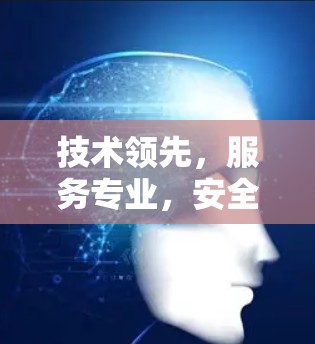 技术领先，服务专业，安全可靠—中国VPN运营商的崛起
