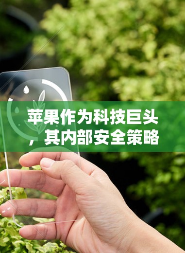 苹果作为科技巨头，其内部安全策略和数据保护措施通常会考虑多种因素，包括内部数据的加密、VPN部署以及全面的安全管理。以下是关于苹果是否使用VPN安全的详细分析
