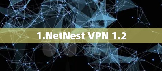 1.NetNest VPN 1.2