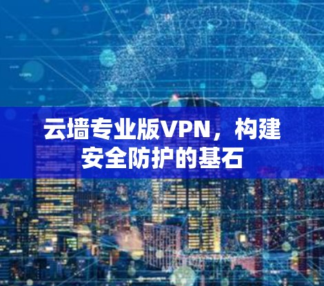 云墙专业版VPN，构建安全防护的基石